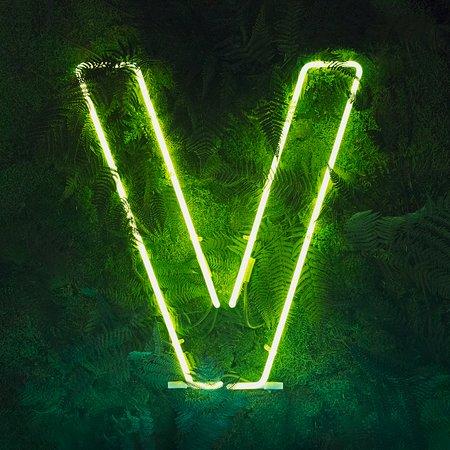 Vedang - plant burger